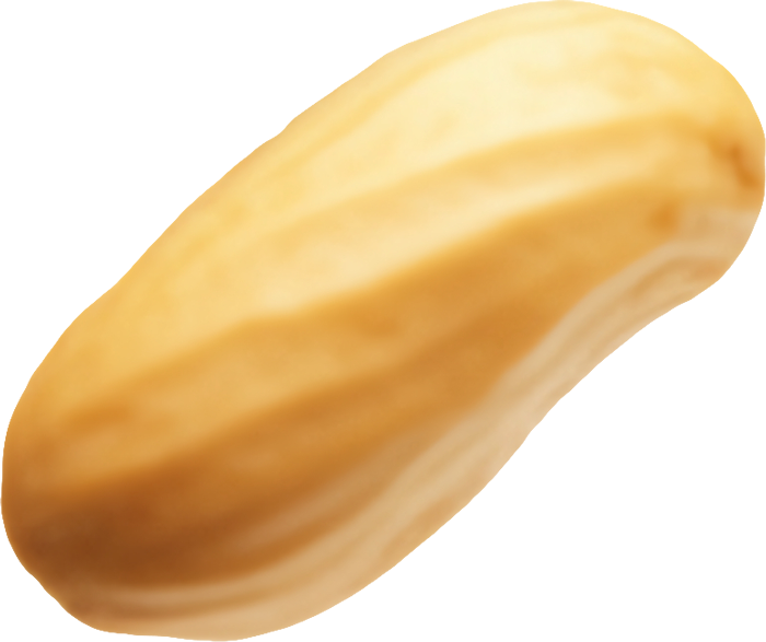 Cacahuate